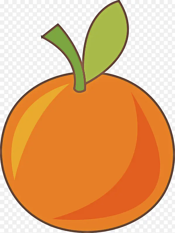 橙子 绘图 水果