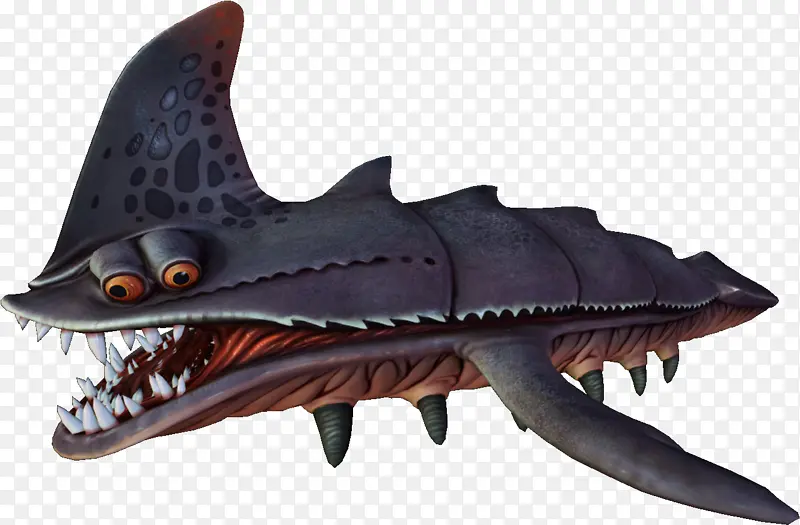 鲨鱼 沙鲨 沙虎鲨
