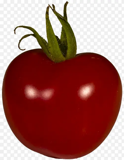 李子番茄 番茄 水果