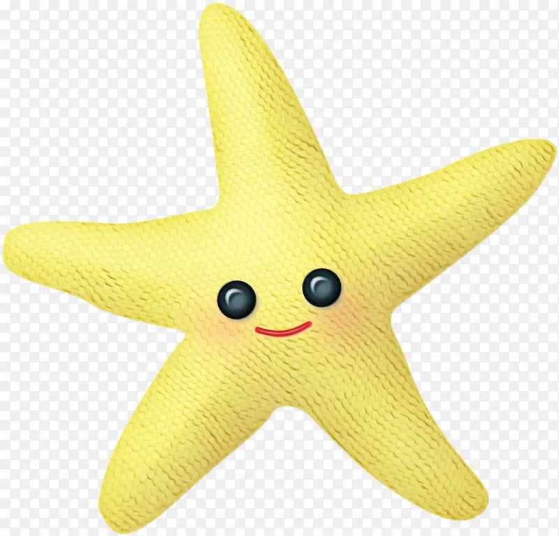 海星 黄色 动物