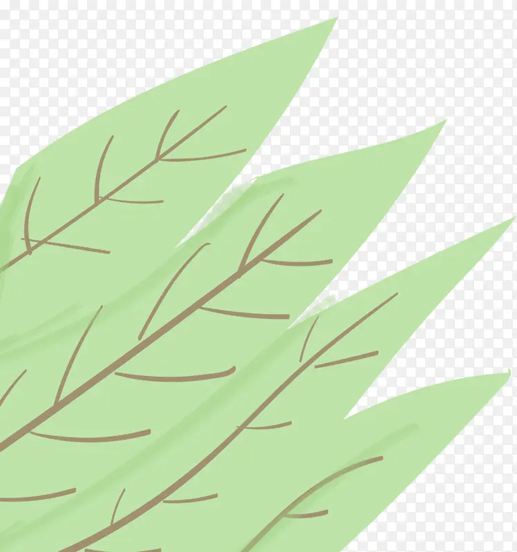 树枝 植物茎 线