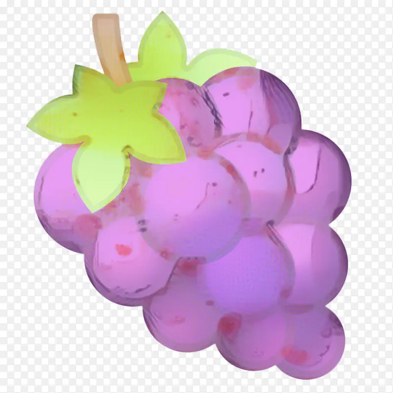 葡萄 葡萄科 紫色
