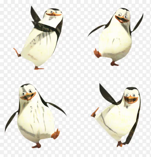 企鹅 马达加斯加 喙