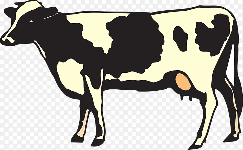 乳制品 牲畜 荷斯坦弗里西亚牛