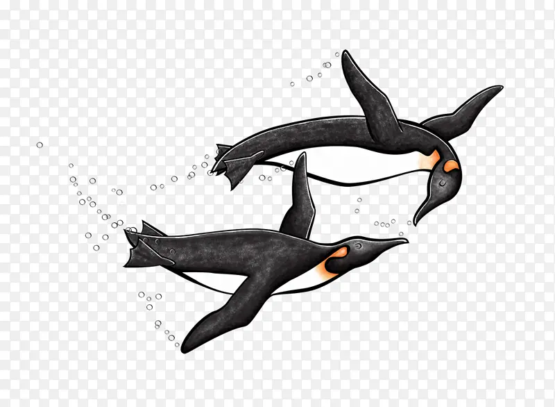 企鹅 海豚 绘画