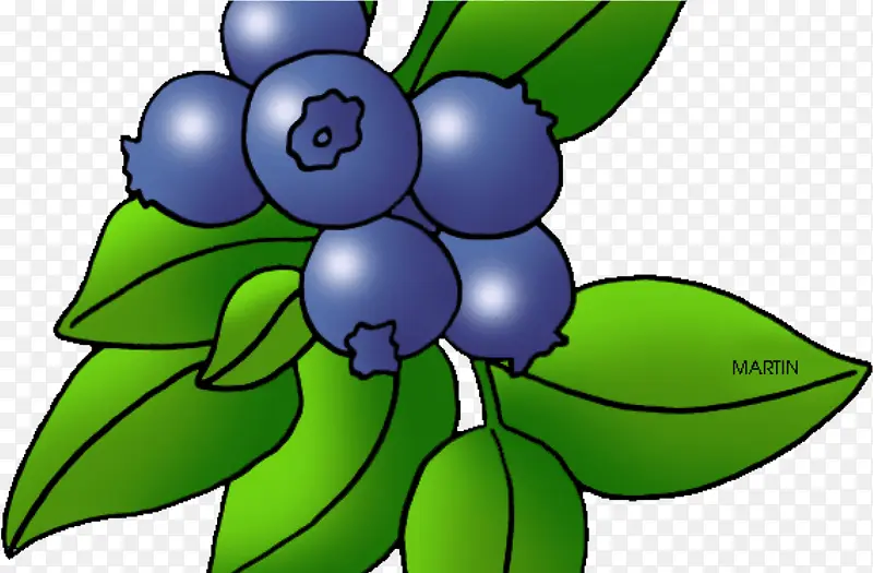蓝莓 浆果 蓝莓派