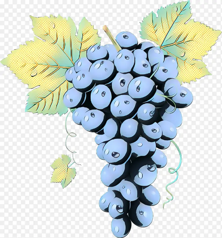 波普艺术 复古 葡萄