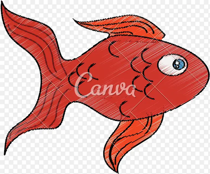 巴西北部红鲷 绘画 鱼类
