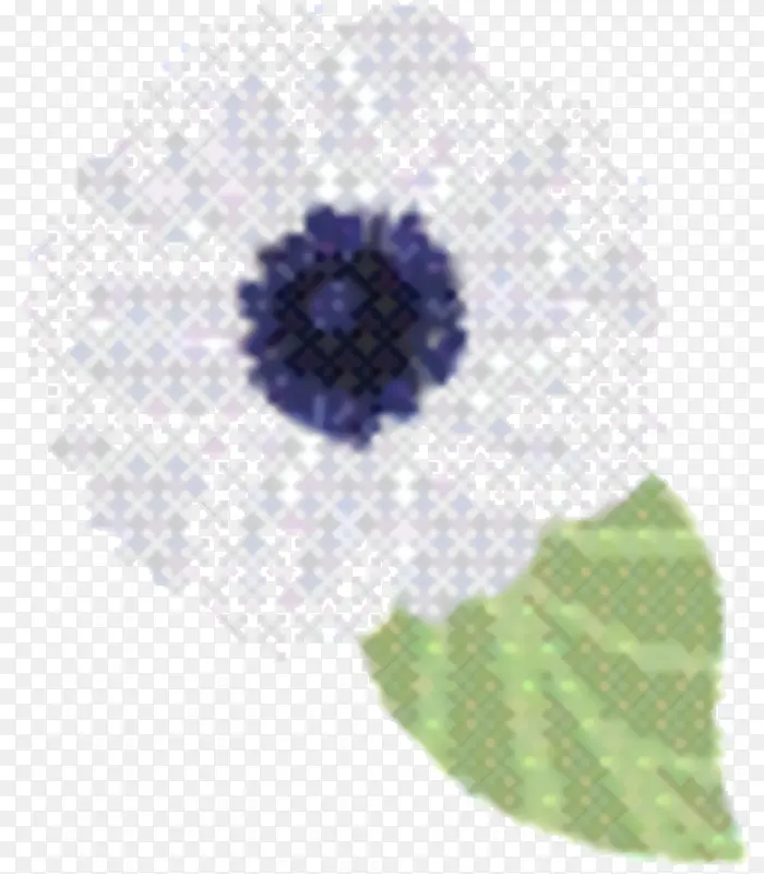 点 花 紫罗兰