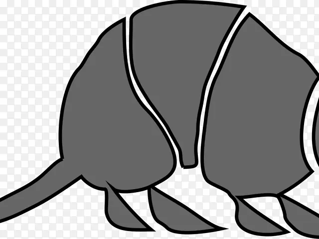 犰狳 食蚁兽 绘画