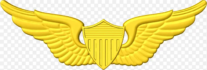 飞行员徽章 美国宇航员徽章 飞机飞行员