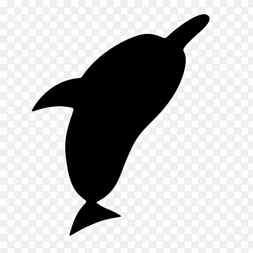 海豚 绘画 动物