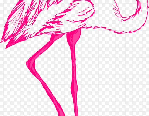 火烈鸟 绘画 粉色