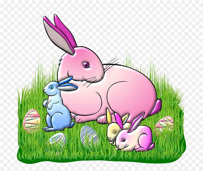 家养兔子 复活节兔子 欧洲兔子