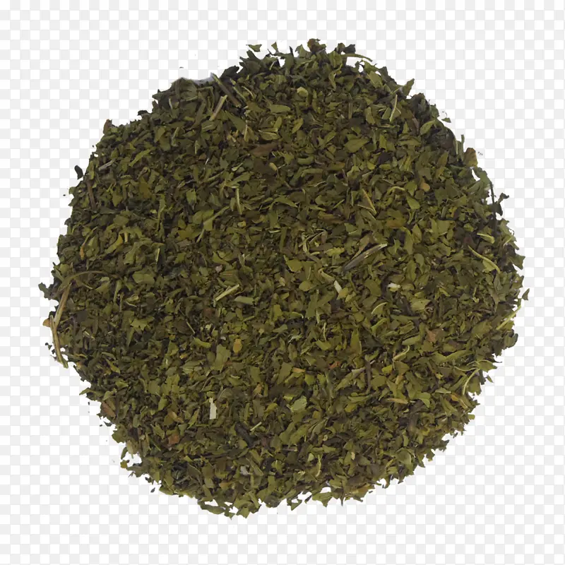 尼尔吉里茶 阿萨姆茶 茶树
