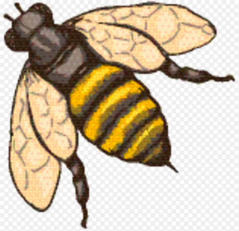 蜜蜂 大黄蜂 象鼻虫