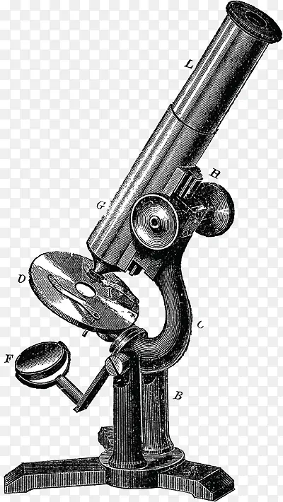 显微镜 古董 印刷