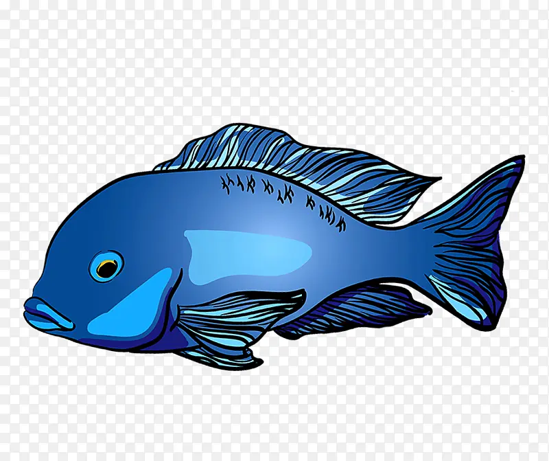 慈鲷 水族馆 蓝海豚慈鲷