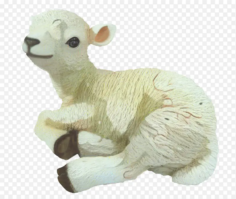 绵羊 园丁 坐着的羔羊