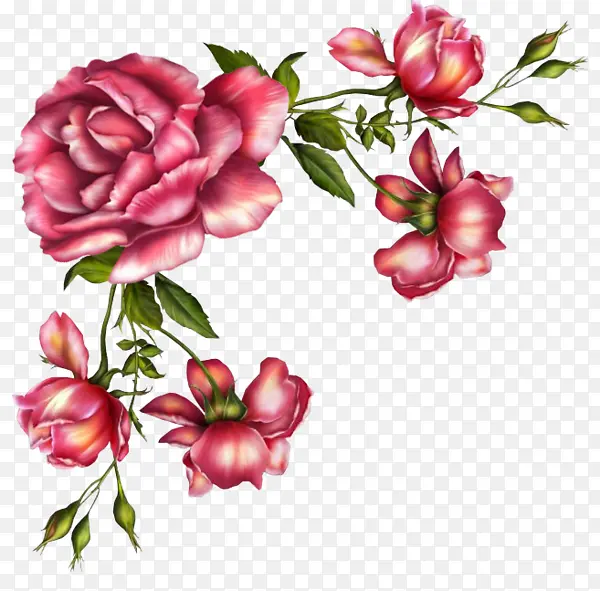 花卉 玫瑰 花卉设计