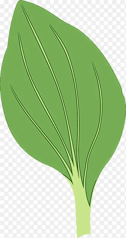 水彩画 颜料 湿墨