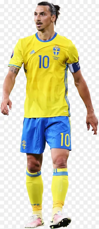 瑞典国家足球队 足球运动员 足球