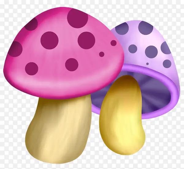 蘑菇 绘画 仙女