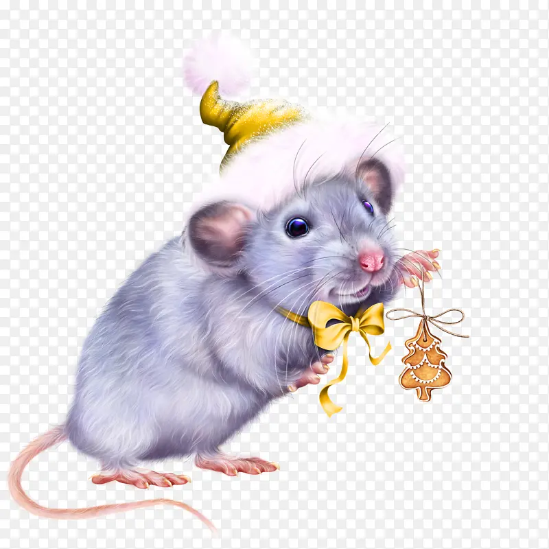新年 老鼠 圣诞节