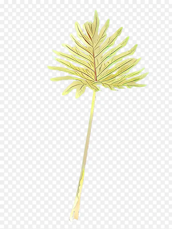 卡通 亚洲棕榈 植物茎