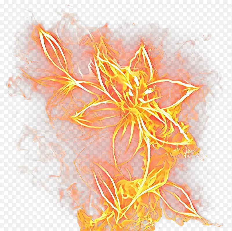 卡通 花卉设计 切花