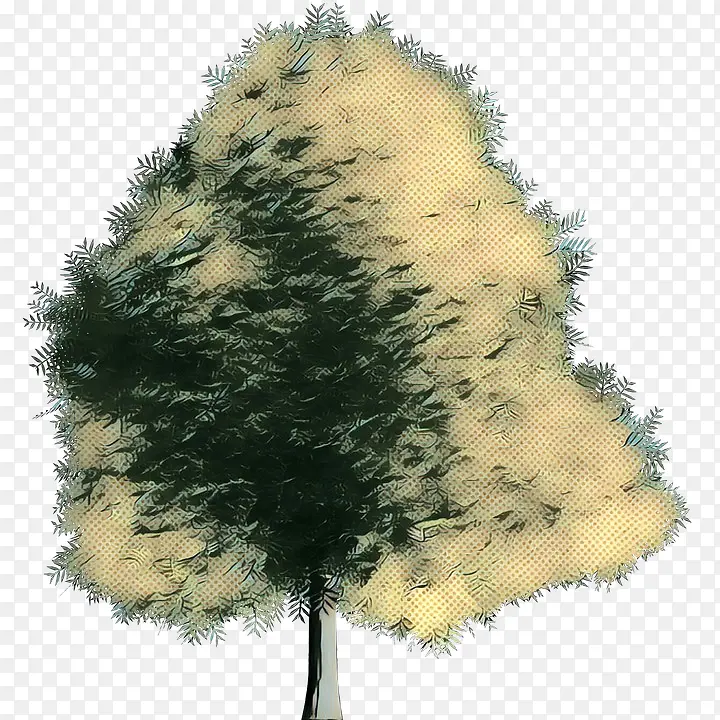 波普艺术 复古 针叶树