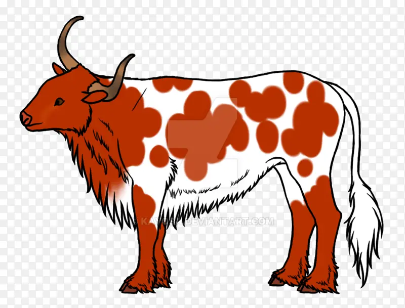 奶牛 德克萨斯长角牛 家养牦牛