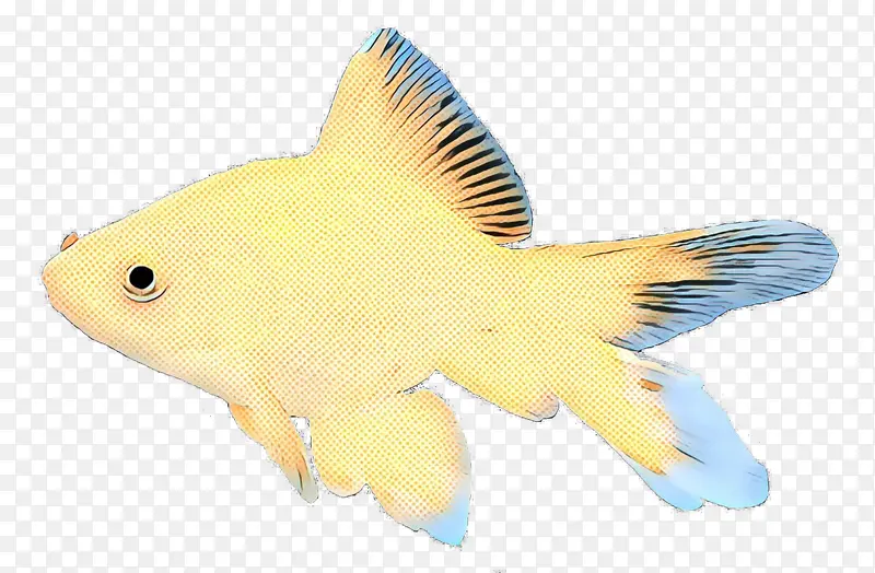 波普艺术 复古 金鱼