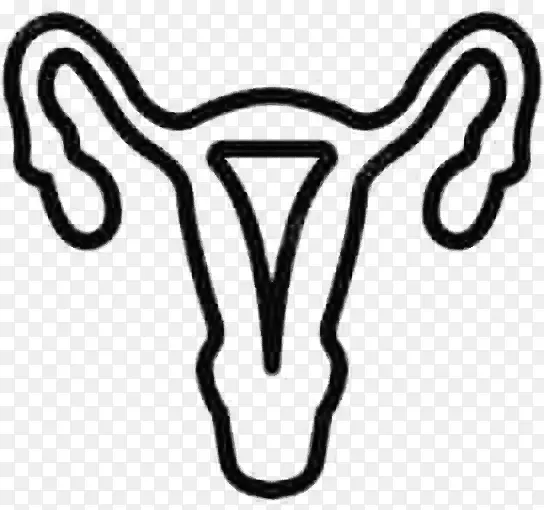妇科学 医学 女性生殖系统