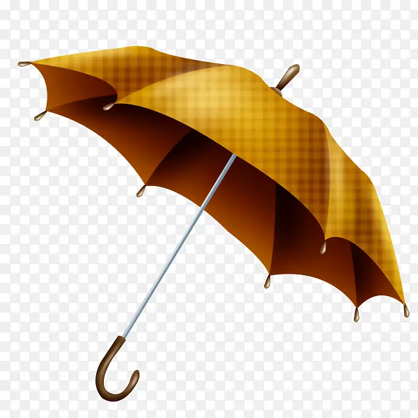 雨伞 生日