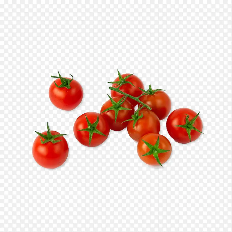 樱桃番茄 樱桃 李子番茄