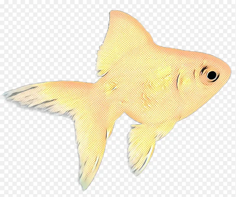 波普艺术 复古 金鱼