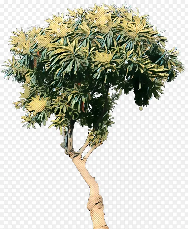 波普艺术 复古 亚洲棕榈树