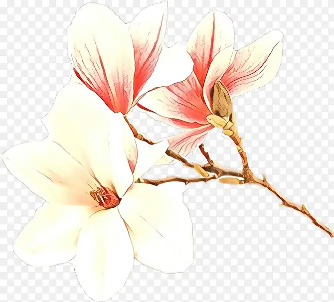 卡通 摄影 水彩画
