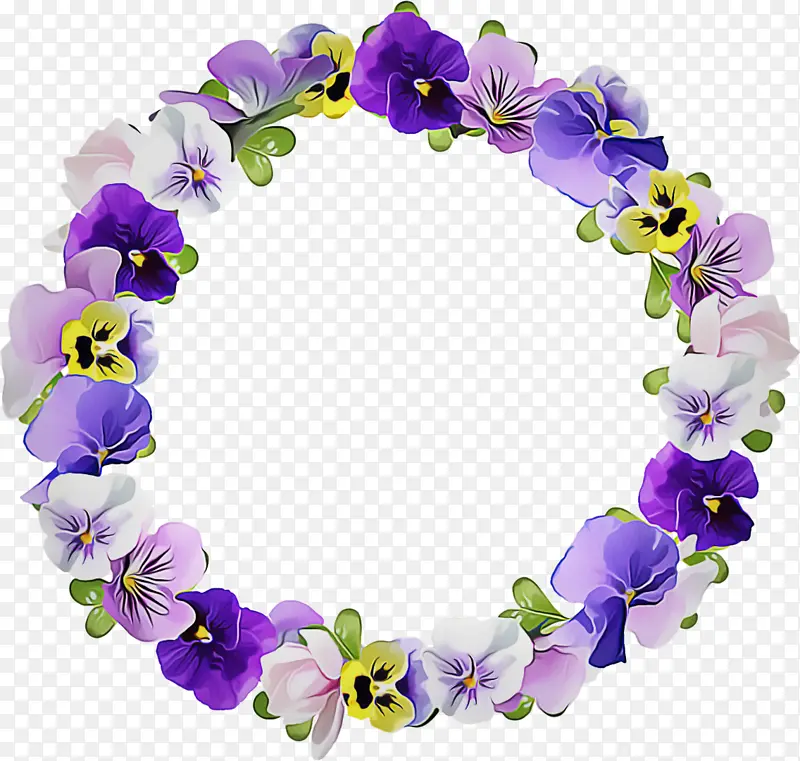 非洲紫罗兰 花朵 花卉设计