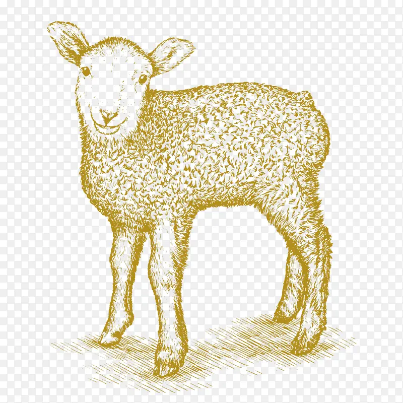 绘画 绵羊 艺术