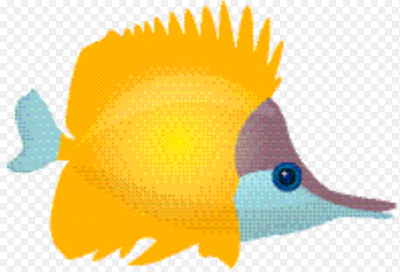 鱼类 生物学 热带鱼