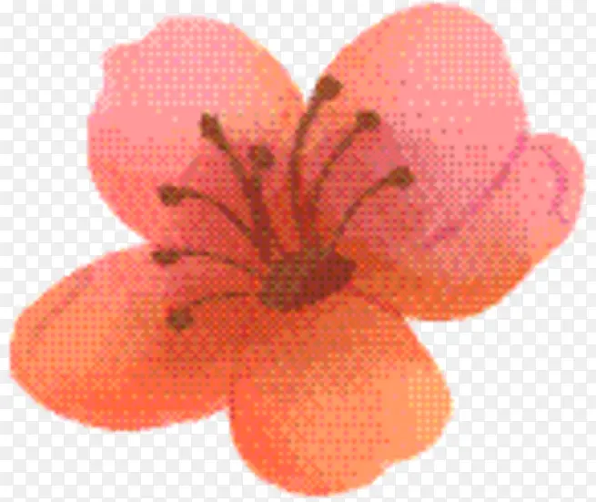 水果 粉色 花瓣