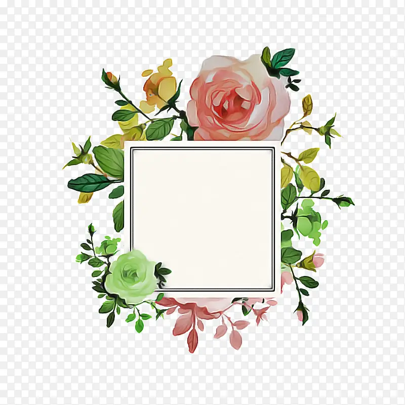 花园玫瑰 花卉设计 相框