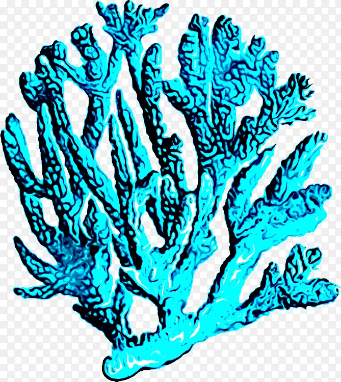 珊瑚礁 珊瑚 大堡礁