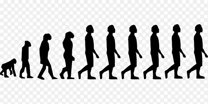 尼安德特人 人类进化 进化