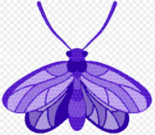 昆虫 紫色 膜