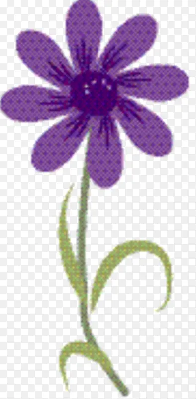 紫罗兰 植物茎 植物