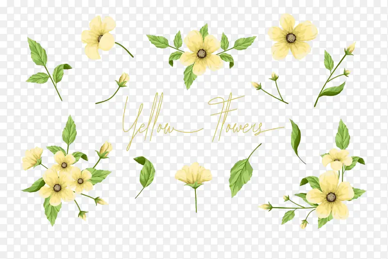 花卉设计 花卉 黄色