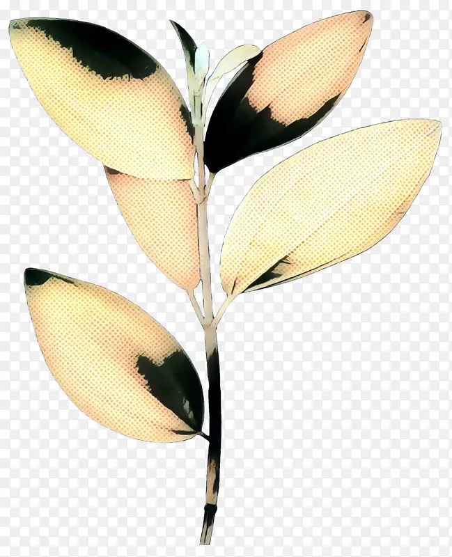 波普艺术 复古 植物